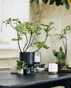 Nordal Troy Draagbare Lamp - 59081 -LAMPEN Winkel nordal troy draagbare lamp 59081 3