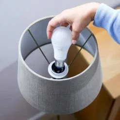 Wiz Connected Lamp Wit Variabel E27 60w -LAMPEN Winkel 3464142 052ffbcb