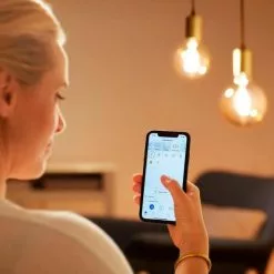 Wiz E14 40w Variabele Witte Vlam Aangesloten Lamp -LAMPEN Winkel 3464150 bb890ca7